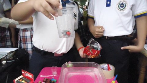 PRIMARIA. FERIA DE CIENCIAS.