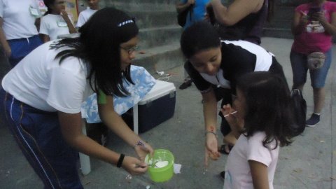 PRIMARIA. FERIA DE CIENCIAS.