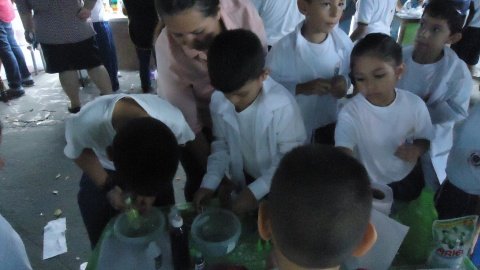 PRIMARIA. FERIA DE CIENCIAS.