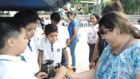 PRIMARIA. FERIA DE CIENCIAS.